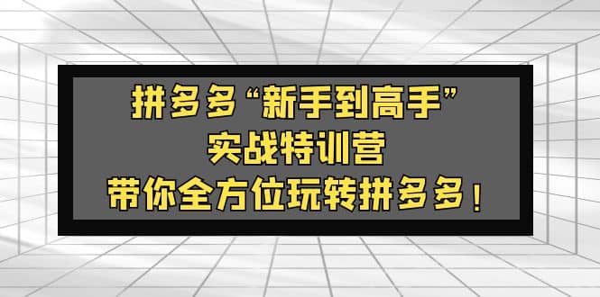 拼多多“新手到高手”实战特训营：带你全方位玩转拼多多