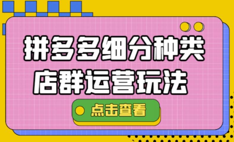 拼多多细分种类店群运营玩法3.0，11月最新玩法，小白也可以操作