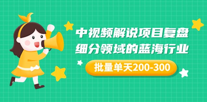 某付费文章：中视频解说项目复盘：细分领域的蓝海行业 批量单天200-300收益