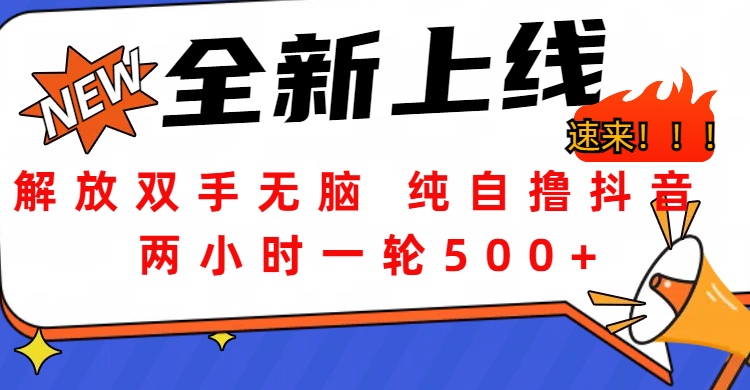 解放双手无脑 纯自撸抖音 两小时一轮500+