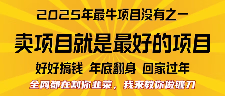 全网都在割你韭菜，我来教你做镰刀。卖项目就是最好的项目，2025年最牛互联网项目