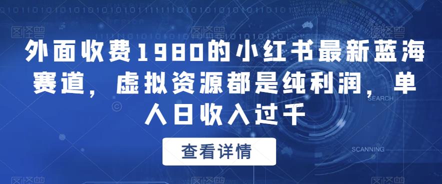 外面收费1980的小红书最新蓝海赛道，虚拟资源都是纯利润，单人日收入过千