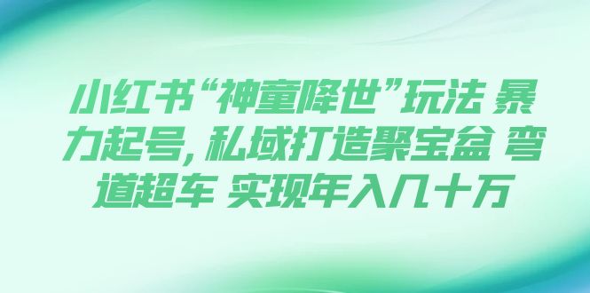 （7673期）小红书的“天才儿童临世”游戏玩法 暴力行为养号,公域打造出聚宝盘 弯道超越 完成年收入几十万