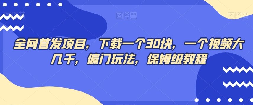 独家首发新项目，下载一个30块，一个视频好几千，冷门游戏玩法，家庭保姆级实例教程