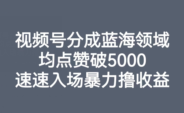 微信视频号分为蓝海领域，均关注点赞破5000，快速进场暴力行为撸盈利