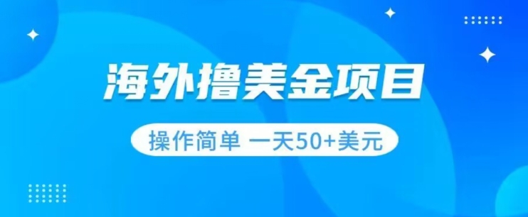 撸美元新项目零门槛使用方便新手一天50 美金