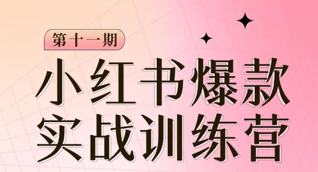 小红书博主爆品夏令营第11期，教你如何从0-1做小红书的，从查找到养号到转现