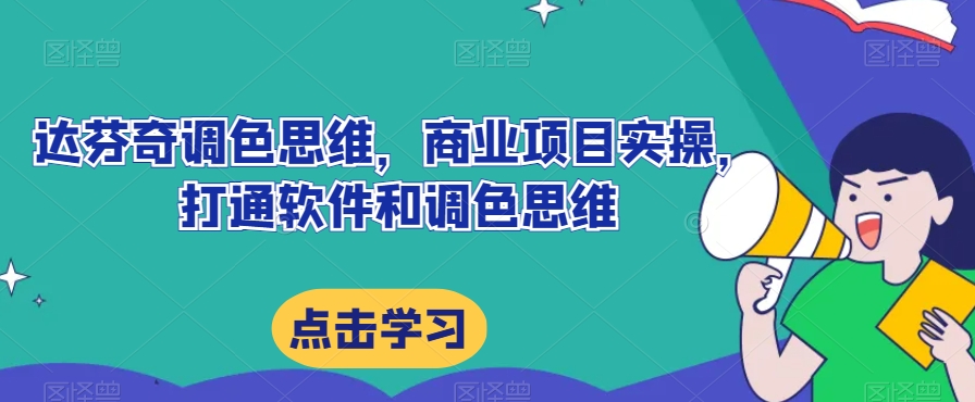 达芬奇调色逻辑思维，商业规划实际操作，连通软件信息上色逻辑思维