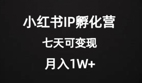 使用价值2000 的小红书IP卵化营新项目，超大瀚海，七天即可进行转现，平稳月入1W