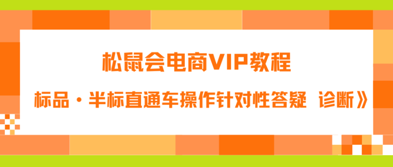 松鼠会电商VIP教程《付费推广标品·半标直通车操作针对性答疑&诊断》