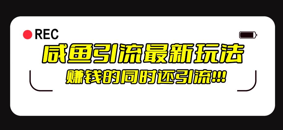 闲鱼引流方式全新升级游戏的玩法，赚钱的此外，日推广方法100