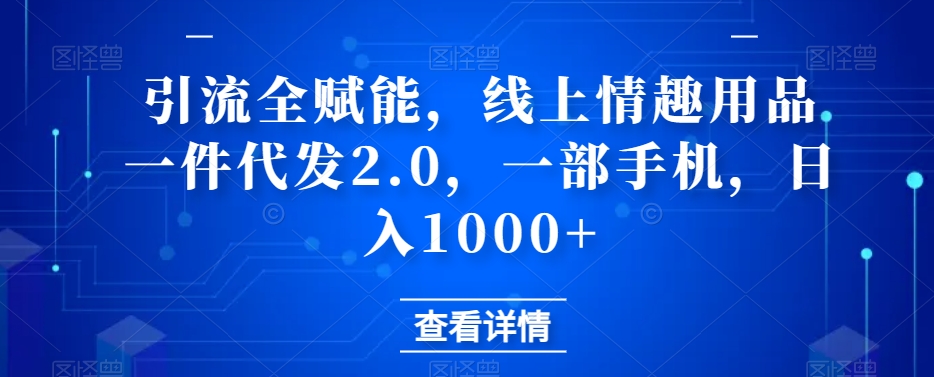 引流方法全创变，网上情趣用具一件代发2.0，一部手机，日赚1000