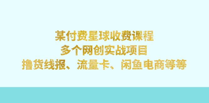 （7199期）某付钱星体课程内容：好几个网创实践项目，撸货线报网、上网卡、闲鱼平台电子商务等