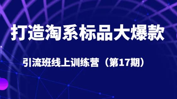 打造出淘宝标准品大爆品引流方法班线上训练营5天直播授课