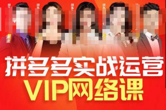 推易拼多多VIP全套网络课程，拼多多卖家操作过程游戏的玩法 实战模拟游戏的玩法选款武功心法 直通车推广高端等