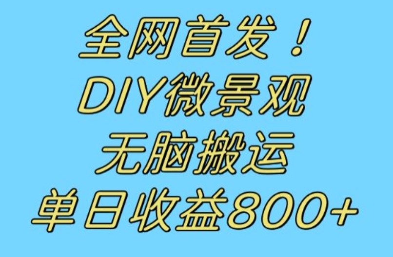 独家首发小众跑道！DIY微景观，没脑子搬运视频，日盈利800 【揭密】