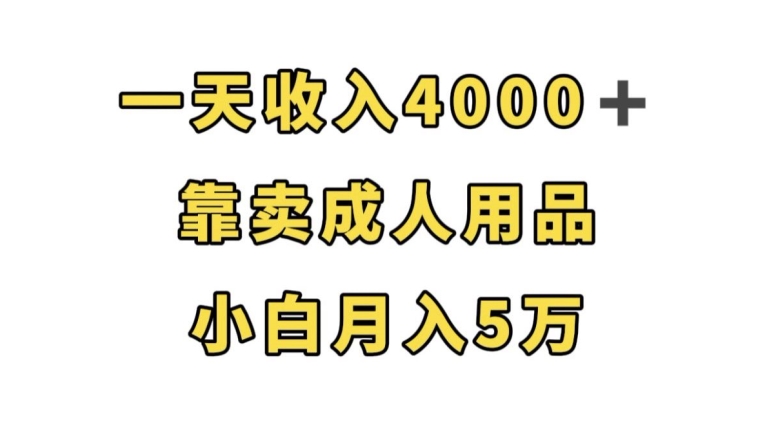 一天收益4000 ，靠卖成人用品，新手轻轻松松月入5万【揭密】