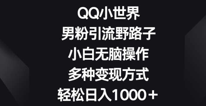 QQ小世界男粉引流野路子，小白无脑操作，多种变现方式轻松日入1000+