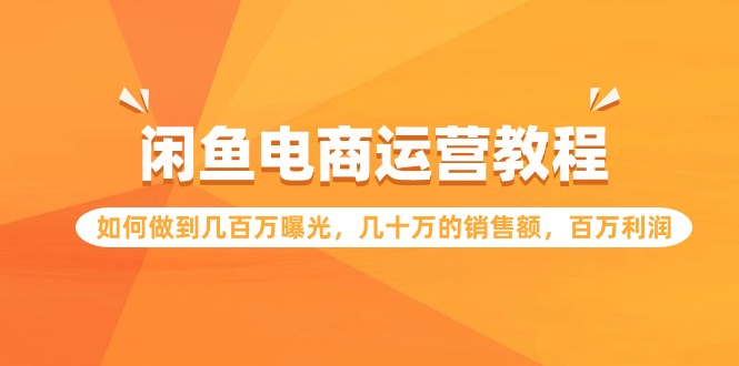 （9560期）闲鱼平台网店运营实例教程：怎样做到上百万曝出，几十万的销售总额，上百万盈利