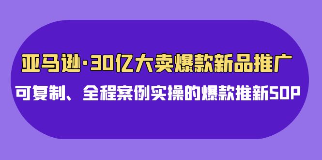 （9944期）亚马逊平台30亿·热销爆品新品推广，复制推广、全过程实例实际操作的爆款上新SOP