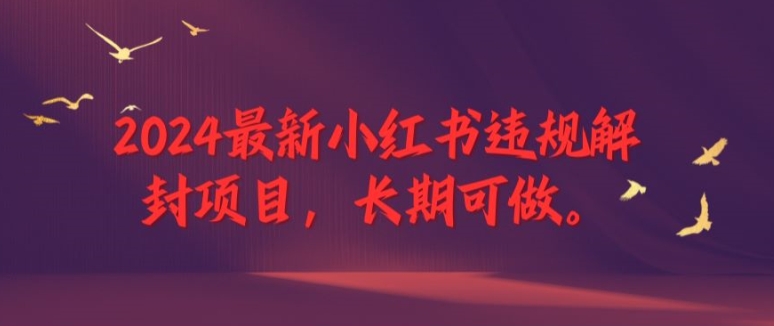 2024全新小红书违规解除限制新项目，长期性能做，一个能做到退休新项目【揭密】