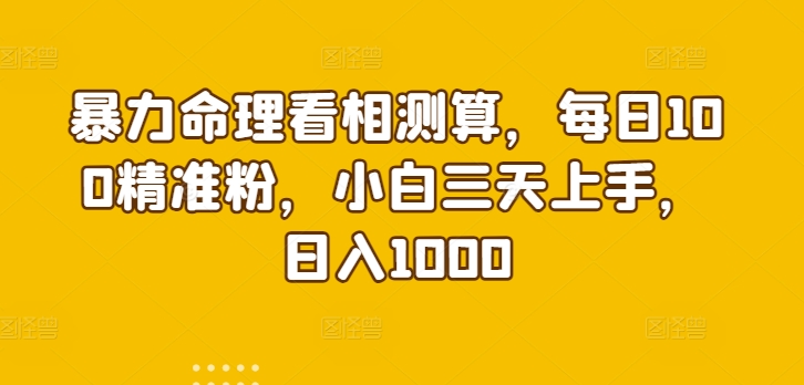 暴力命理看相测算，每日100精准粉，小白三天上手，日入1000