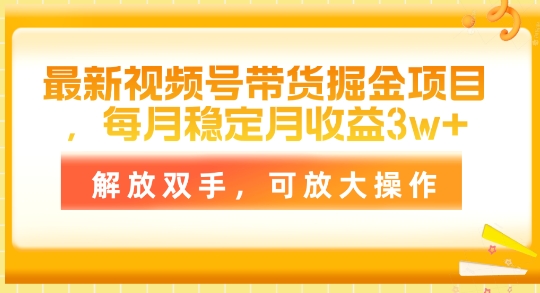 全新视频号带货掘金队新项目，每月平稳月盈利1w ，解锁新技能，可变大实际操作