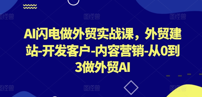 AI闪电做外贸实战课，?外贸建站-开发客户-内容营销-从0到3做外贸AI