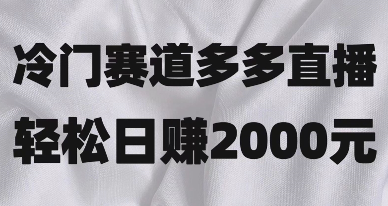 小众跑道拼多多直播，简易念文章，日盈利2000＋【揭密】-暖阳网-优质付费教程和创业项目大全