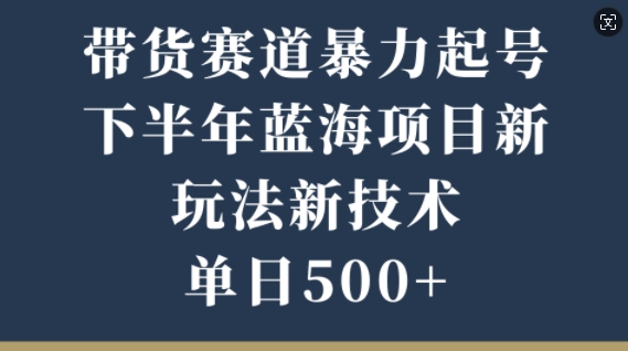 卖货跑道暴力行为养号，后半年蓝海项目，新模式新技术应用，单日500