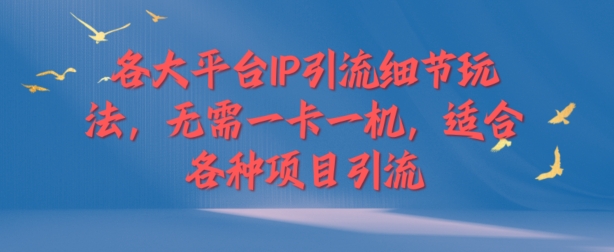 各个平台IP引流方法小细节游戏玩法，不用一卡一机，适用于各种新项目引流方法