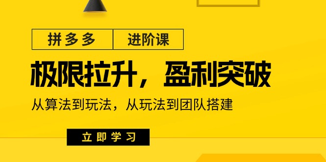 拼多多平台升阶课：极限值拉涨/赢利提升：从优化算法到游戏玩法 从模式到团队搭建（18节）