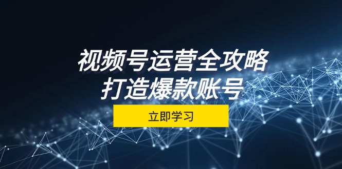 （12912期）视频号运营攻略大全，从查找到交易量一站式学习培训，微信视频号关键窍门，推出爆款…