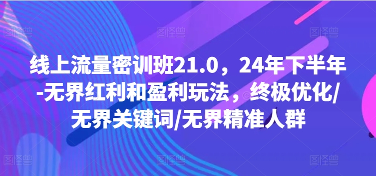 用户流量密训班21.0，24年年底-无边收益和盈利游戏玩法，最终提升/无边关键字/无边精准客户