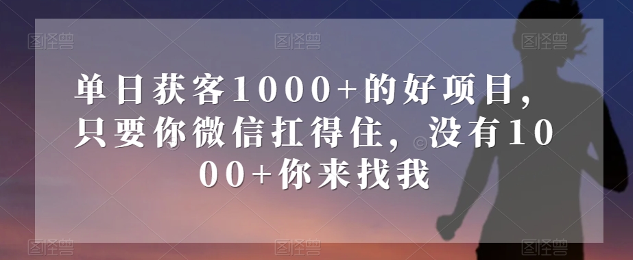 单日获客1000+的好项目，只要你微信扛得住，没有1000+你来找我【揭秘】-暖阳网-优质付费教程和创业项目大全