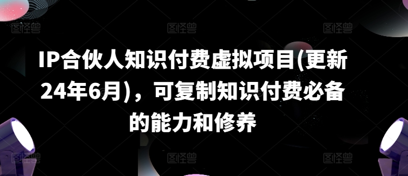 IP合作伙伴社交电商虚拟资源项目(升级24年6月)，复制推广社交电商必不可少能力与涵养