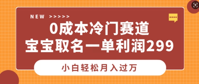 0成本冷门赛道，宝宝取名一单利润299，小白轻松月入过万