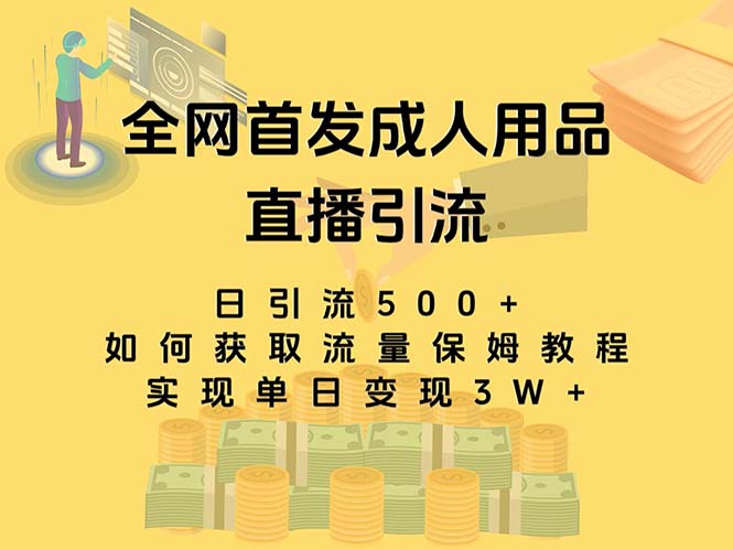 （8193期）最新全网独创首发，成人用品直播引流获客暴力玩法，单日变现3w保姆级教程-暖阳网-优质付费教程和创业项目大全