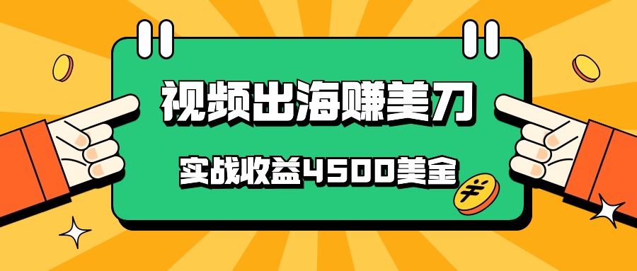 中国爆款短视频出航赚美金，实战演练盈利4500美元，大批量没脑子运送，无需经验直接上手