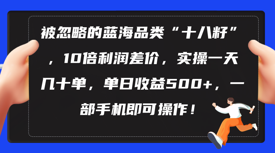 （10696期）被忽视瀚海类目“十八籽”，10倍盈利价格差，实际操作一天几十单 单日盈利500