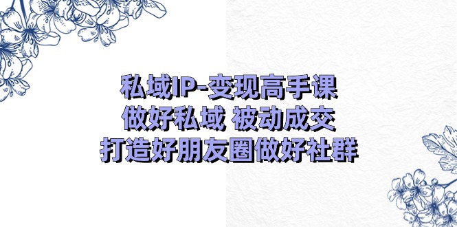 公域IP转现大神课：搞好公域处于被动交易量，打造好微信朋友圈搞好社群营销（18节）