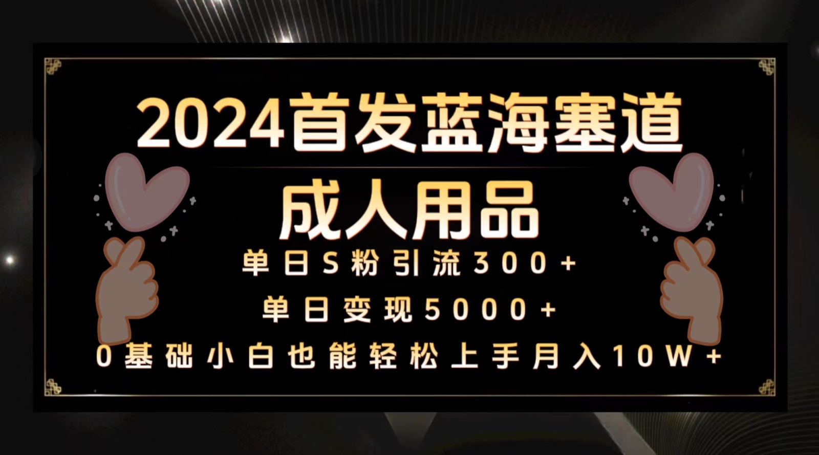 2024先发瀚海塞道两性用品，月入10W 家庭保姆实例教程