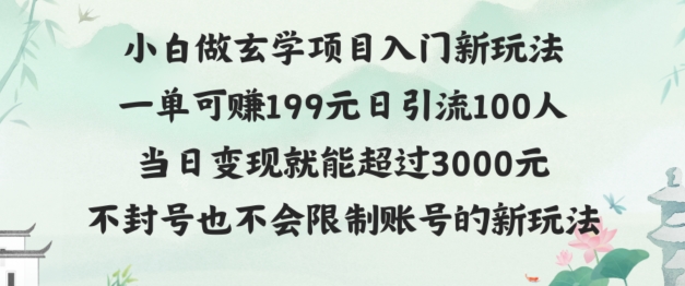 玄学项目入小白入门新玩法一单可赚199元日变现200+不封号不违规