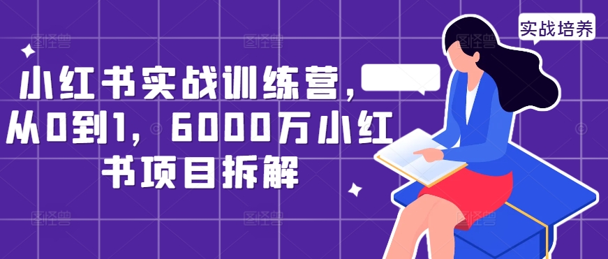 小红书的实战演练夏令营，从0到1，6000万小红书的新项目拆卸