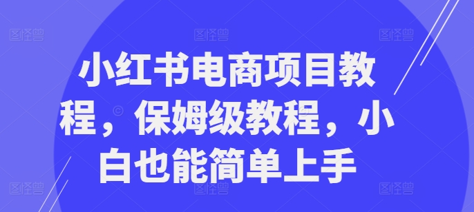 小红书电商新项目实例教程，家庭保姆级实例教程，新手也可以简易入门