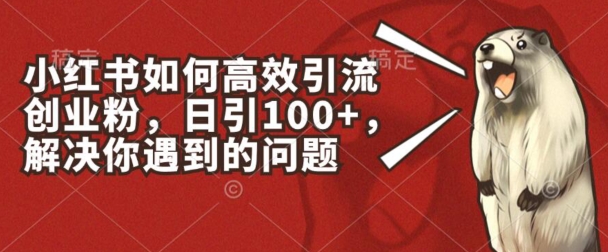 小红书的如何有效引流方法自主创业粉，日引100 ，解决你遇到的困难【揭密】