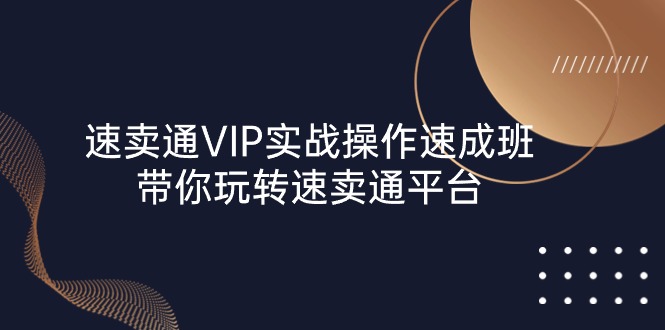 （10935期）速卖通 VIP实战操作-速成班，带你玩转速卖通平台（23节）