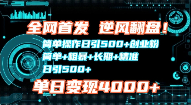 全网首发，简单操作日引500+创业粉，简单+粗暴+长期+精准