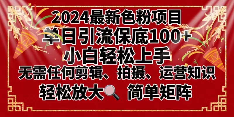 （8783期）2024全新变脸新项目，新手快速上手，运单号单月转现3W＋，可大批量引流矩阵实际操作变大