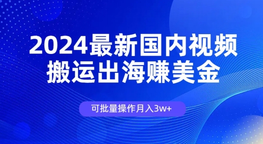 2024全新中国视频搬运出航赚美金，可批量处理月入3w